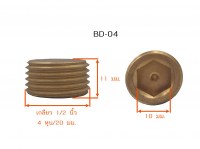BD04 วัดไซต์